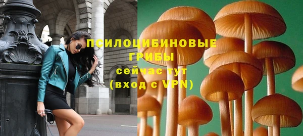 дурь Абаза