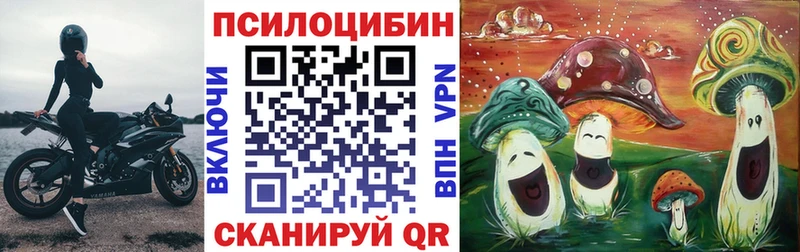 дарк нет официальный сайт  Гусиноозёрск  Галлюциногенные грибы мицелий 